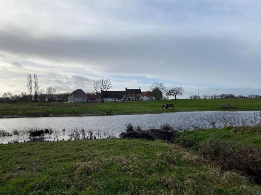Villenouan Domaine Et Gites Lailly-en-Val Екстер'єр фото