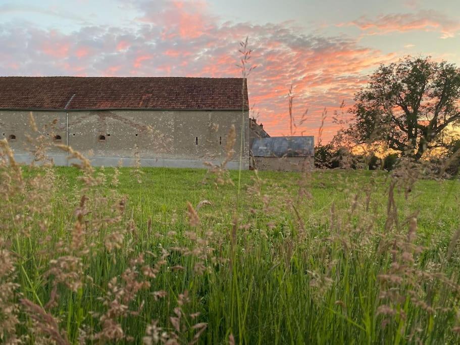 Villenouan Domaine Et Gites Lailly-en-Val Екстер'єр фото