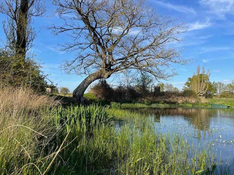 Villenouan Domaine Et Gites Lailly-en-Val Екстер'єр фото